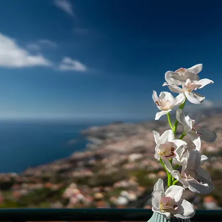 Apartment Atlantic Ocean View By Hr Madeira